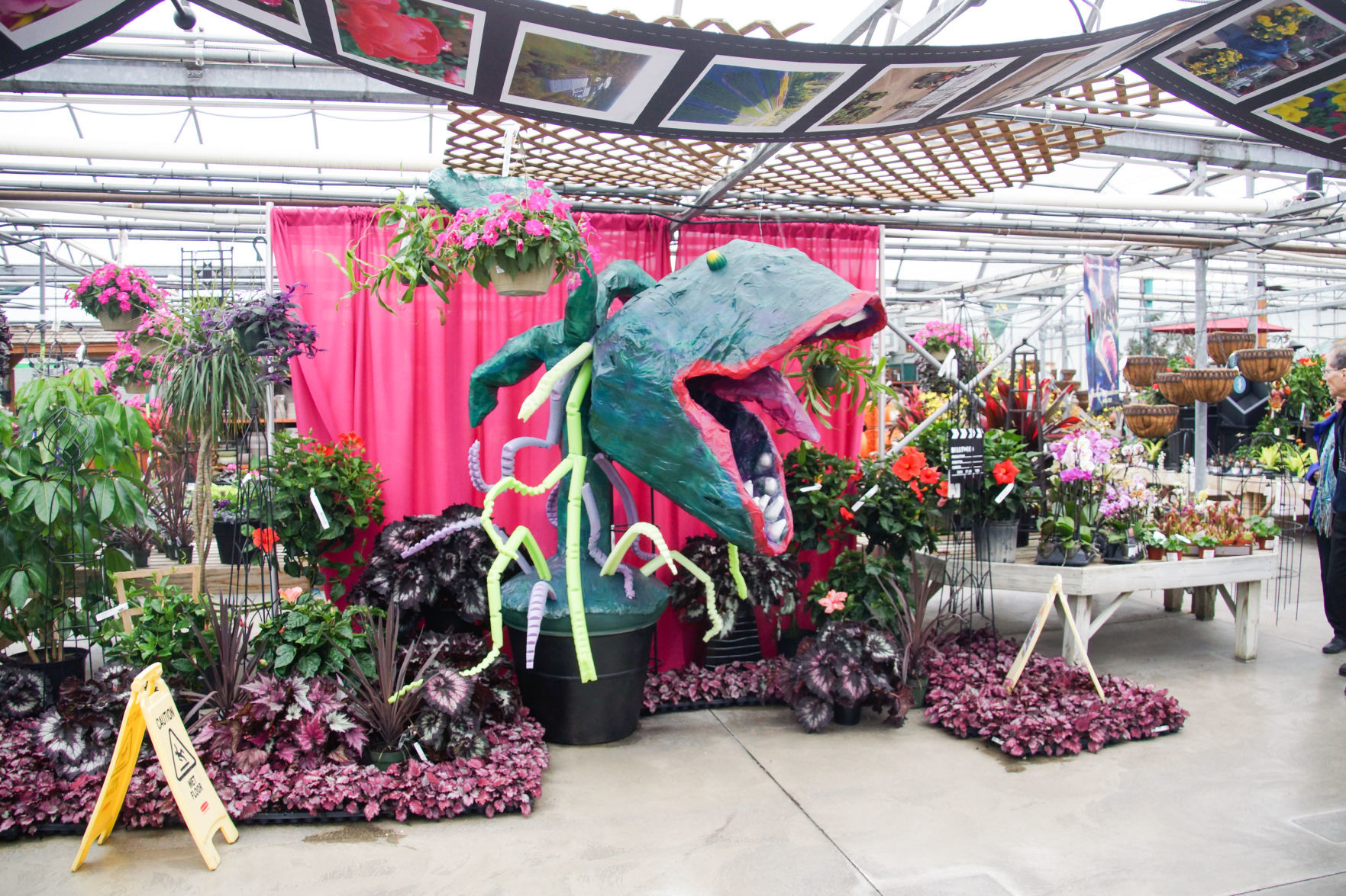 Va Va Bloom Festival